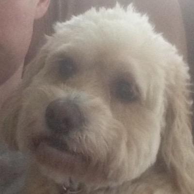 SullivanBobby's profile picture