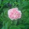 おかもと's profile picture