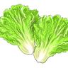Profilbild von letucce_leaf