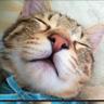 ํ์์ฝ's profile picture