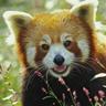 Arkadiusz Skr's profile picture