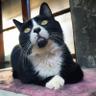 freeast's profile picture