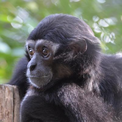 Koichi Murata's profile picture