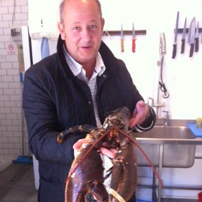 rexgoldsmith's profile picture