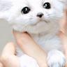 Profilbild von ユータ♪