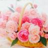 ティアラ姫 profil fotoğrafı