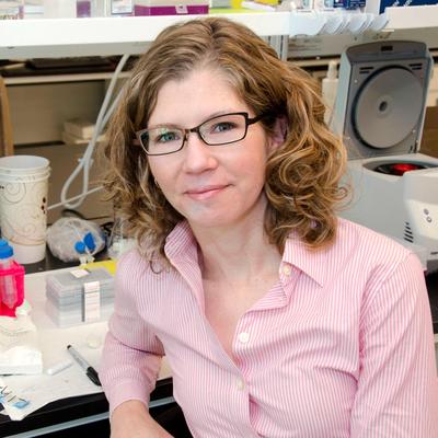 Julie Lefebvre's profile picture
