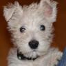 Profilbild von Stuart Anderson