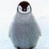 Фото профиля penguinpeace