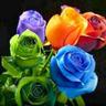 SAS ALBRAHIM's profile picture