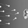 ROLOONS ⏚'s profile picture