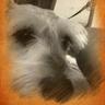 Profilbild von AudreyARB🌻🕊🌻🕊