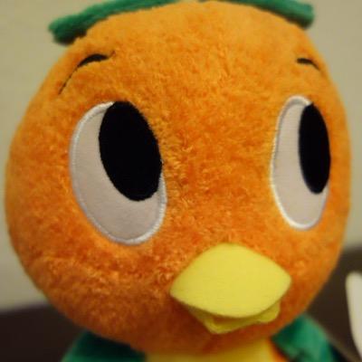 ShowcaseWishes's profile picture