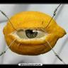 Фото профиля Ojo Citrico