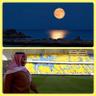 عبدالله العتيبي's profile picture