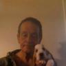William O'Loughlin's profile picture