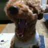 cozi.'s profile picture