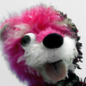 Adam's profile picture