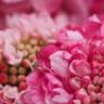 Фото профиля めぇこ