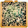 S0AndS0.eth 的头像