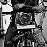 BHARAT's profile picture