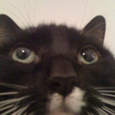 itsukohirai's profile picture