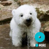 NoriNY 🐘🐼🐨🐻🐰🐣 profil fotoğrafı