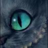 Досліджувач мурчаків's profile picture