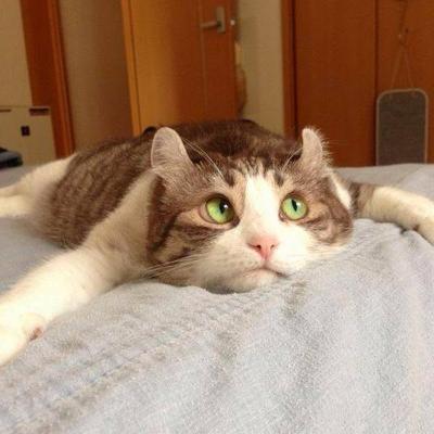 qwest's profile picture