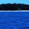 SouthChinaSea's profile picture