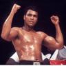 Profilbild von Mohammad Ali