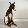 il mulo seduto's profile picture
