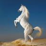 هشام الهاشمي profil fotoğrafı