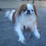bandit's profile picture