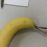 Profilbild von Banana Bird
