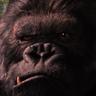HAWAX's profile picture