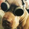 DBLOCK's profile picture