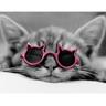 The Real HouseCat 007's profile picture