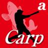 朝日新聞カープ担当 profil fotoğrafı