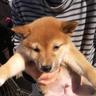 まるくおんざひる's profile picture
