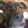 Profilbild von Bernie