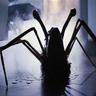Фото профиля IloveJohnCarpenter