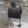 Dovovin Ivan's profile picture