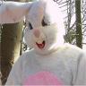Profilbild von たなけん