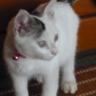 kimiりん profil fotoğrafı