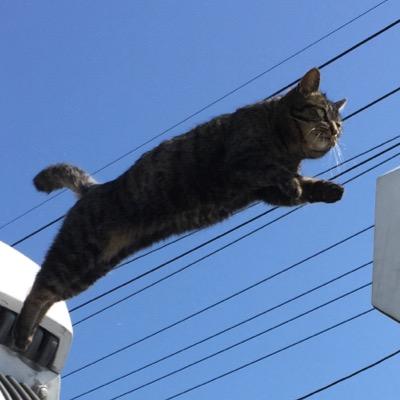 tngpat_seibi's profile picture