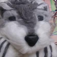 sncthc_science's profile picture