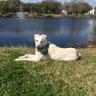 Moe, (Finn’s mom 🐾)'s profile picture