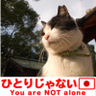 Profilbild von ã¯ãã®èç