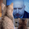 Profilbild von Sergey Buggeroff